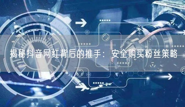 揭秘抖音网红背后的推手：安全购买粉丝策略