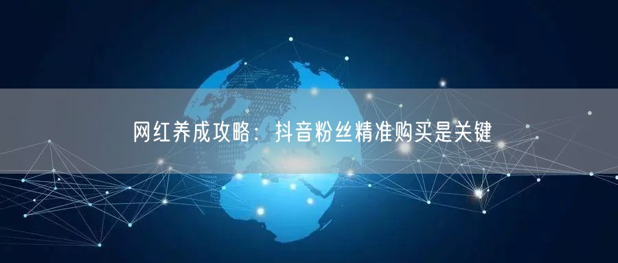 网红养成攻略：抖音粉丝精准购买是关键