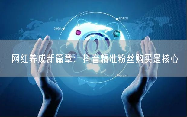 网红养成新篇章：抖音精准粉丝购买是核心