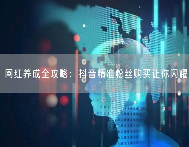 网红养成全攻略：抖音精准粉丝购买让你闪耀