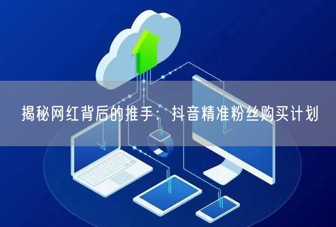 揭秘网红背后的推手：抖音精准粉丝购买计划