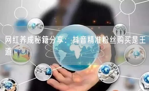 网红养成秘籍分享：抖音精准粉丝购买是王道