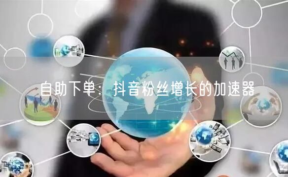 自助下单：抖音粉丝增长的加速器