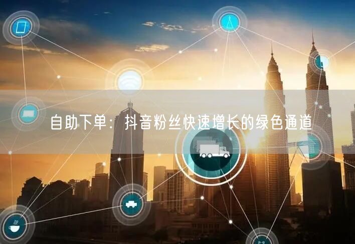 自助下单：抖音粉丝快速增长的绿色通道
