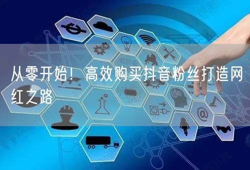 从零开始！高效购买抖音粉丝打造网红之路