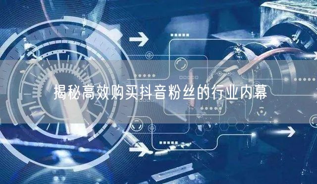 揭秘高效购买抖音粉丝的行业内幕