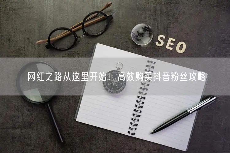 网红之路从这里开始！高效购买抖音粉丝攻略
