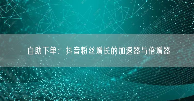 自助下单：抖音粉丝增长的加速器与倍增器