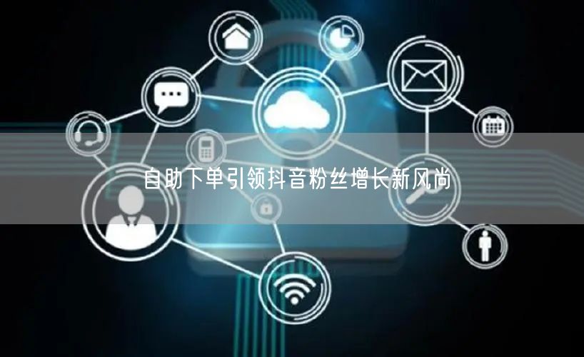 自助下单引领抖音粉丝增长新风尚