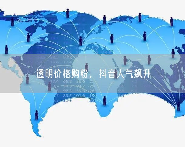 透明价格购粉，抖音人气飙升