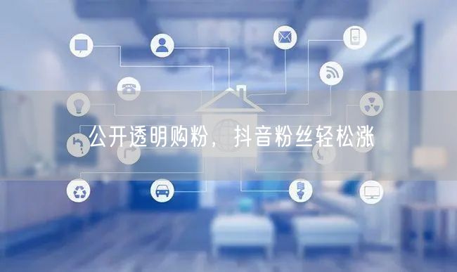 公开透明购粉，抖音粉丝轻松涨