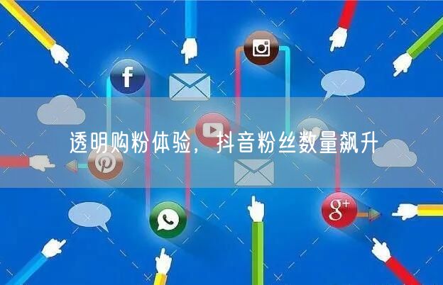 透明购粉体验，抖音粉丝数量飙升