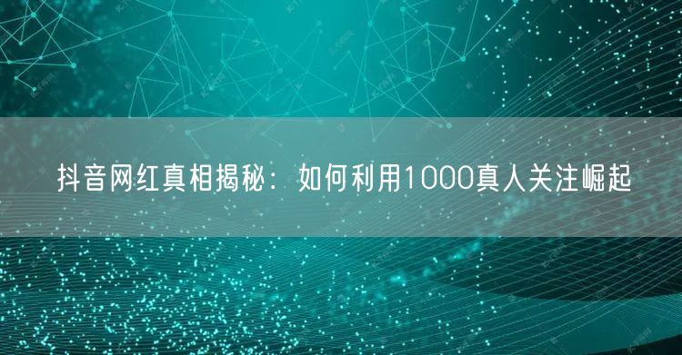 抖音网红真相揭秘：如何利用1000真人关注崛起