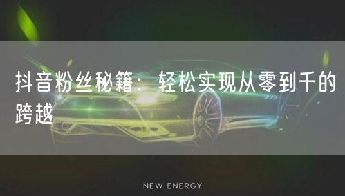 抖音粉丝秘籍：轻松实现从零到千的跨越