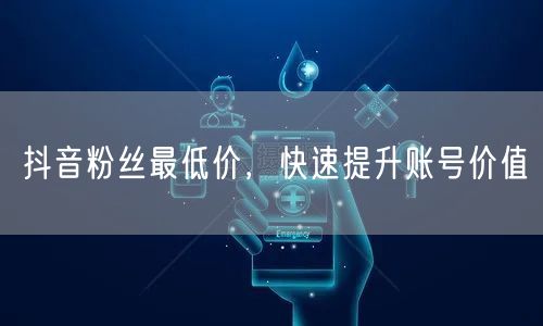 抖音粉丝最低价，快速提升账号价值
